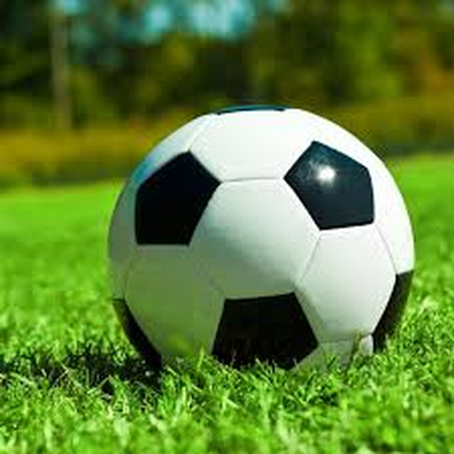 美加墨世界杯(官方中文网站) - -2026WorldCup